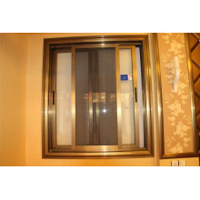 Double Tempered Glass Aluminum Sliding Window with SS Screen